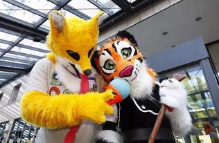 亚洲国产毛茸茸